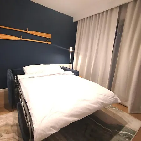 The Soaring Seagulls With Parking *