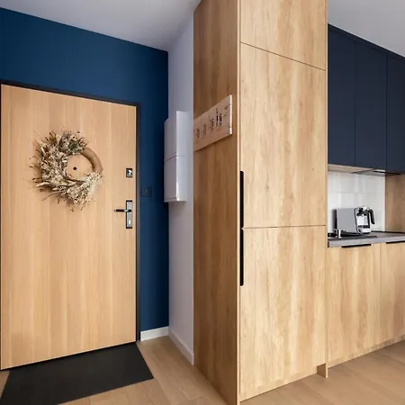 The Soaring Seagulls With Parking *