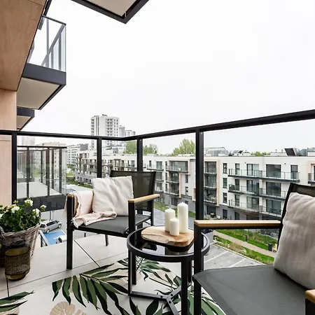 The Soaring Seagulls With Parking * Gdańsk