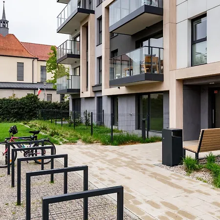The Soaring Seagulls With Parking