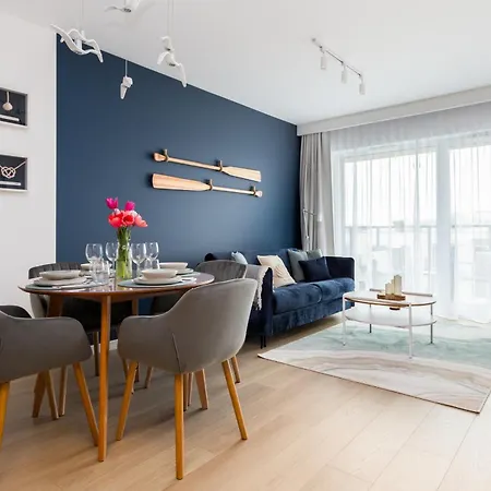 The Soaring Seagulls With Parking Gdańsk