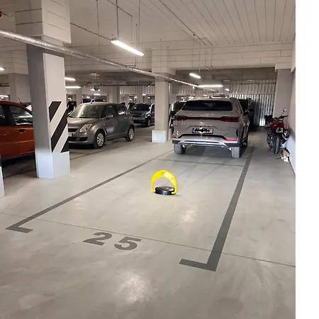 The Soaring Seagulls With Parking * 格但斯克