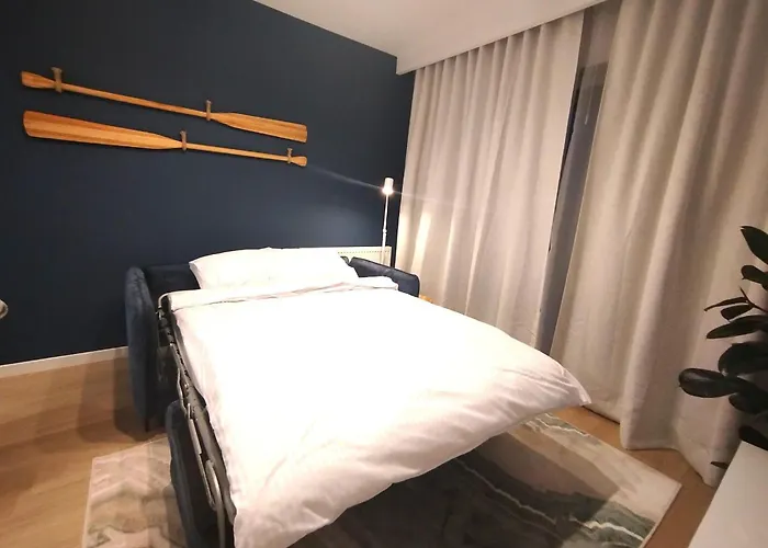 The Soaring Seagulls With Parking *