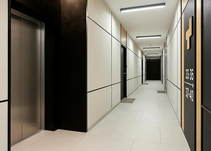 The Soaring Seagulls With Parking