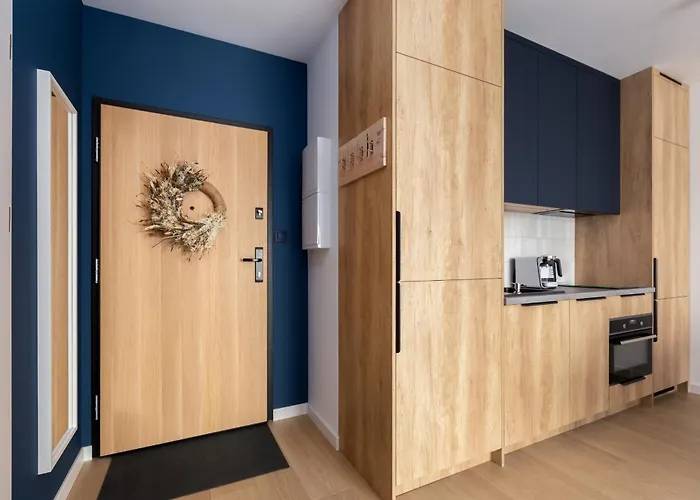 The Soaring Seagulls With Parking *