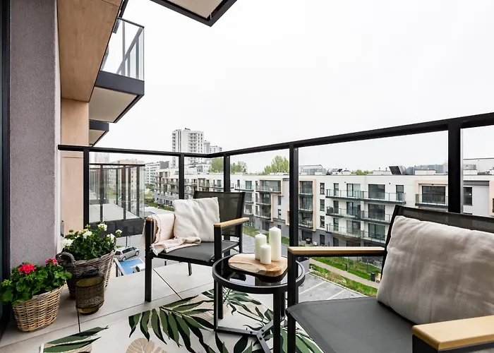 The Soaring Seagulls With Parking * غدانسك