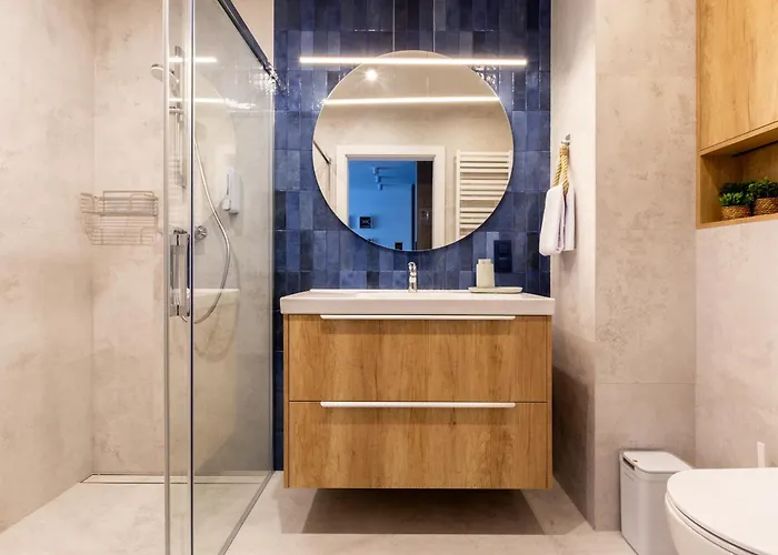 The Soaring Seagulls With Parking