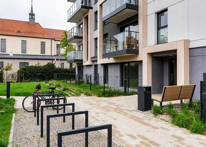 The Soaring Seagulls With Parking