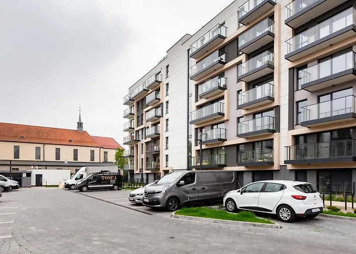 The Soaring Seagulls With Parking *