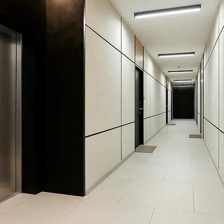 The Soaring Seagulls With Parking