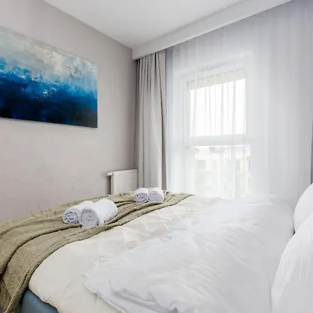 The Soaring Seagulls With Parking Gdansk