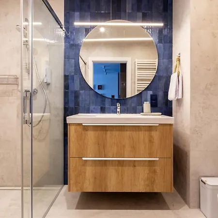 The Soaring Seagulls With Parking