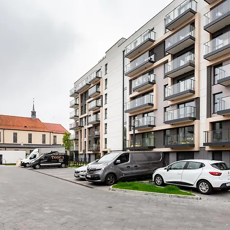 The Soaring Seagulls With Parking *